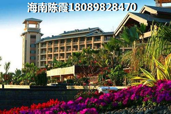 嘉鹏25度海湾一号纸不纸得买