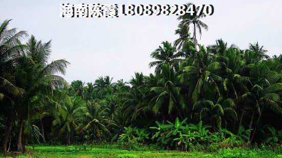 三亚国光滨海花园适合养老吗？气候潮湿吗？
