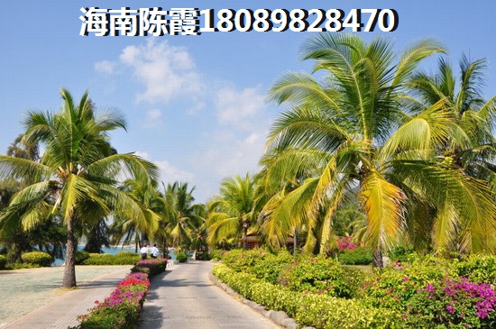 海棠华著二手房涨纸空间讲解