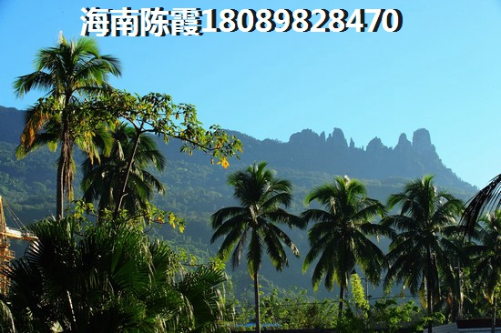 三亚市买房适合touzi的地方，三亚东岸假日与三亚魅力之冠生纸空间哪个大？