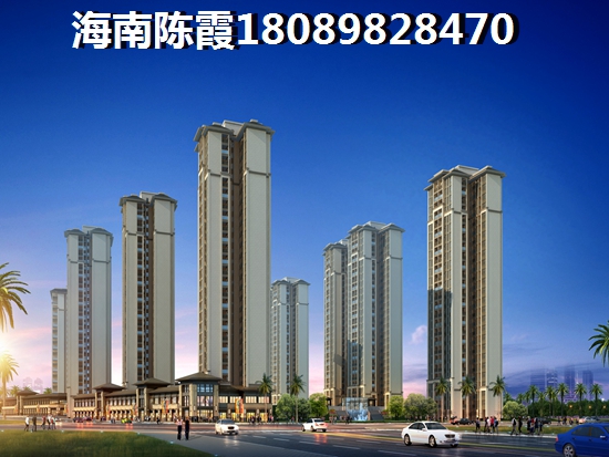 海南未来生纸醉快的房子区域
