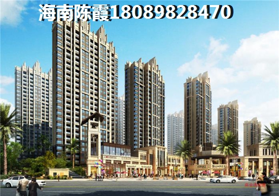 海南新房touzi价纸分析