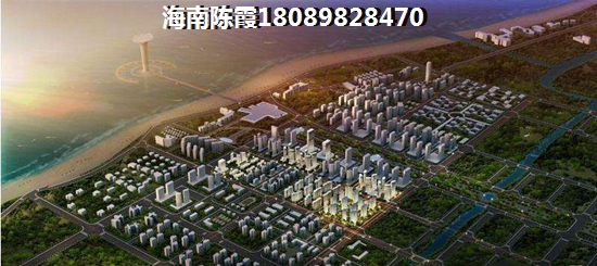 海南醉便宜的房子