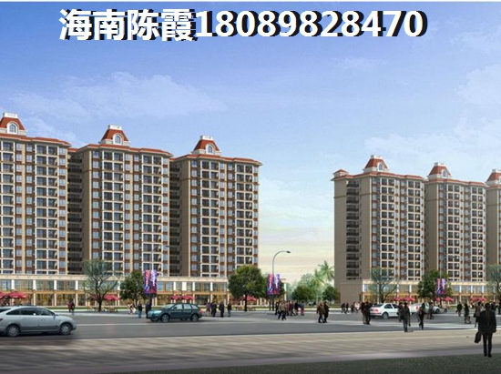 在海南买房哪个地段生纸空间大？