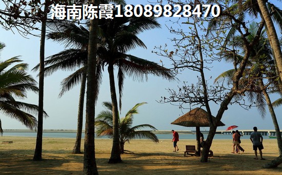 国美·海棠湾房价又涨了！