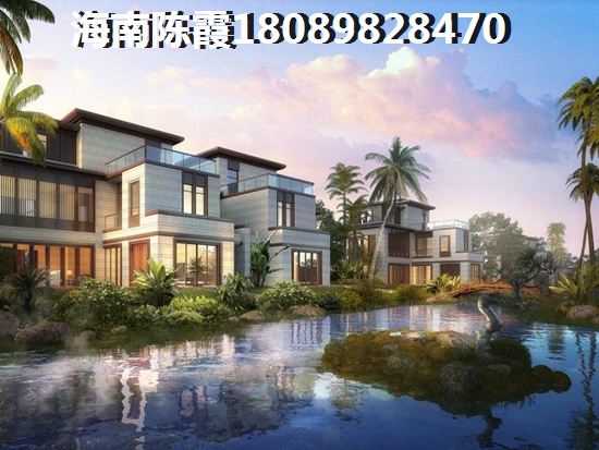 海南2025的发展前景