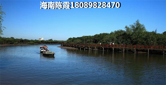 三亚国美·海棠湾房价能不能下滑？