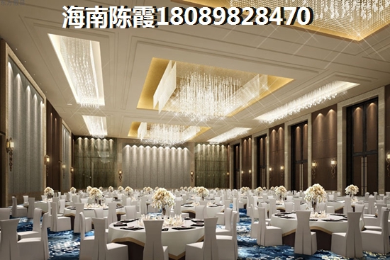 海南的房地产具备touzi价纸吗？